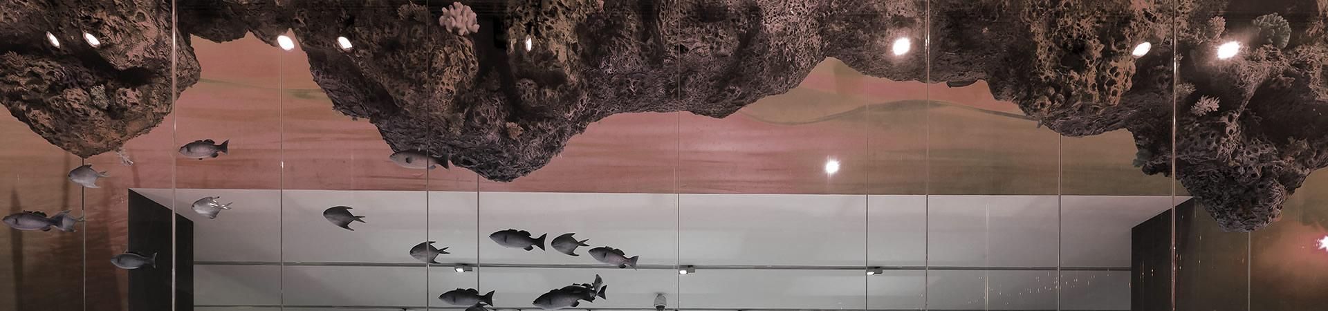 展覽•活動