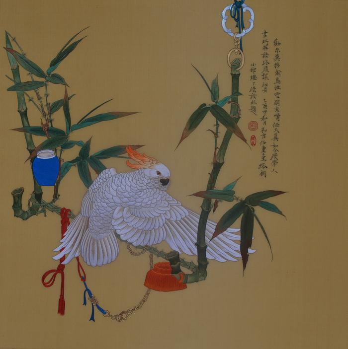 鹦鹉