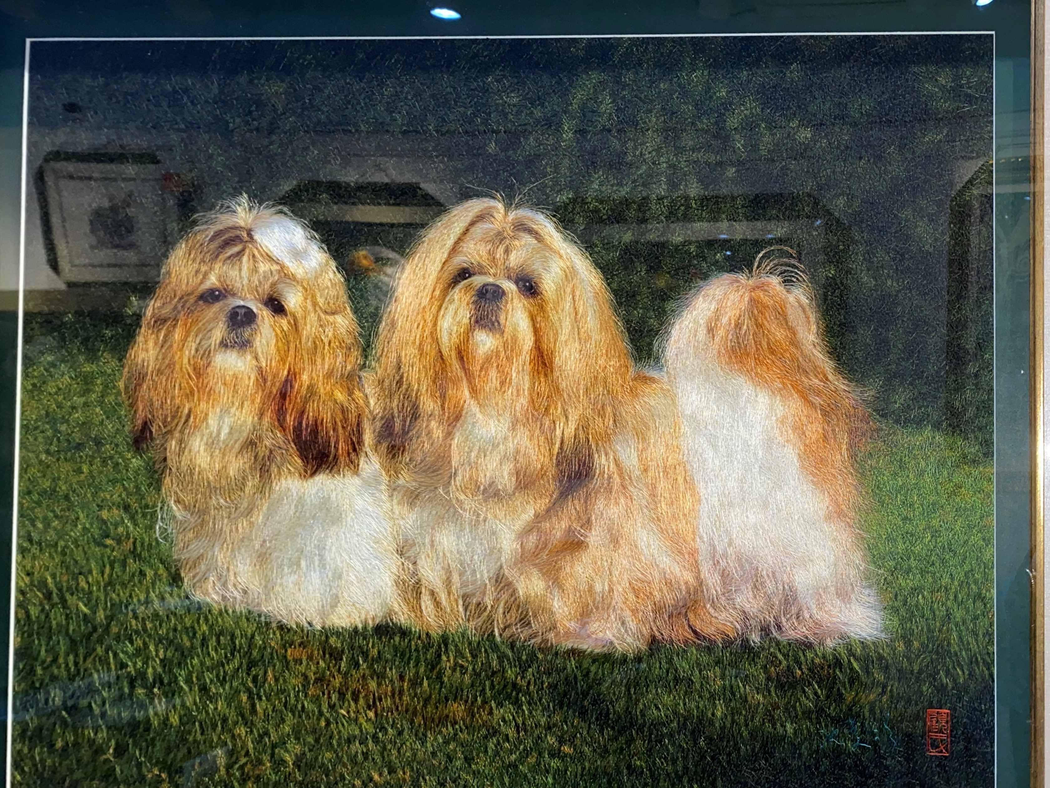 长毛犬
