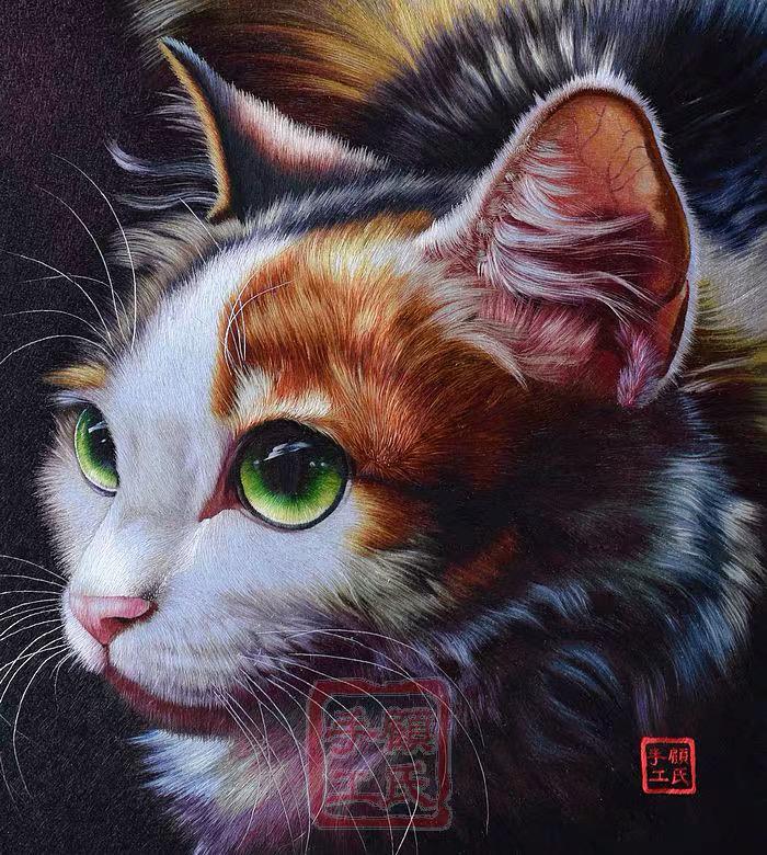 三花猫